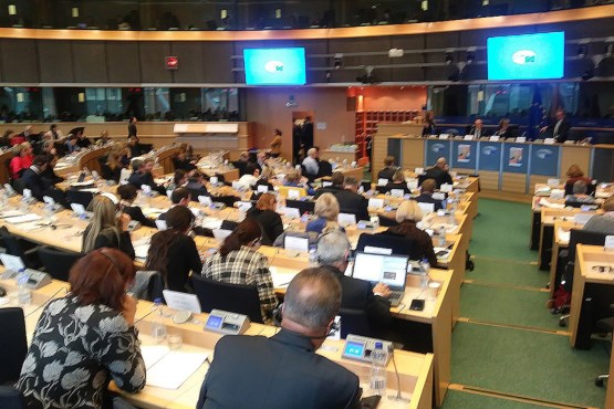 Član Zajedničke komisije za evropske integracije PSBiH Sifet Podžić učestvovao na sastanku Interparlamentarnog komiteta Evropskog parlamenta o evropskoj kulturnoj baštini